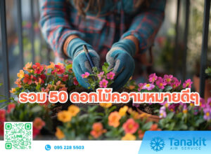ดอกไม้ความหมายดีๆ