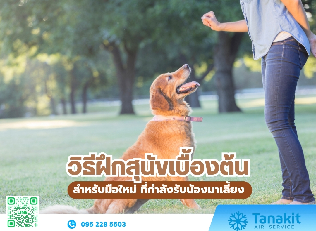 วิธีฝึกสุนัข